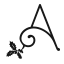 favicon.webp