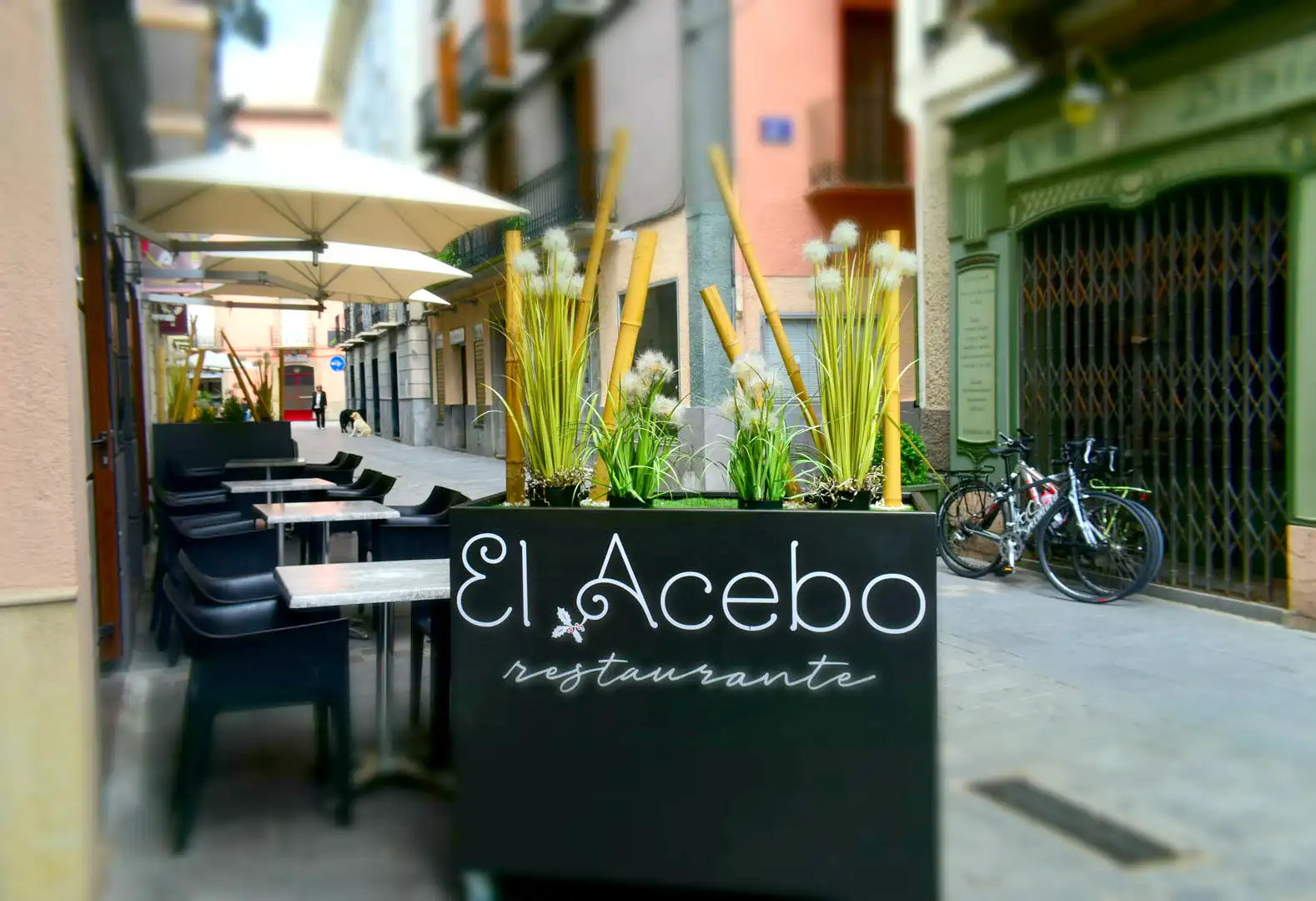 hotel restaurante el acebo en jaca huesca terraza