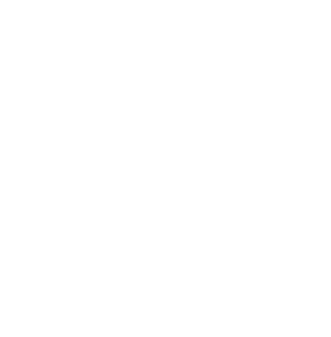 logotema diapo