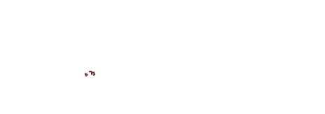 logotipo blanco 2